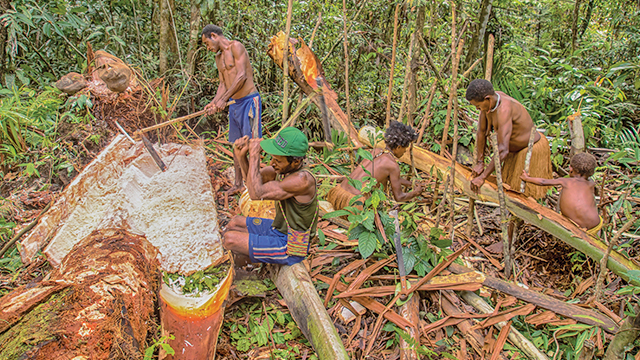 Papua Food Security