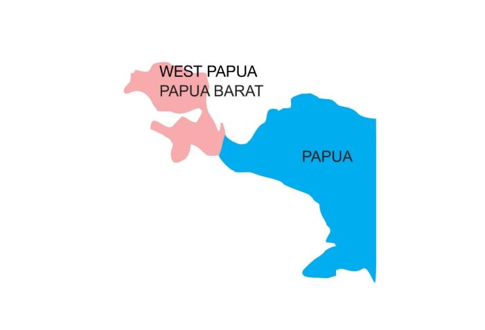 What’s happening in West Papua?
