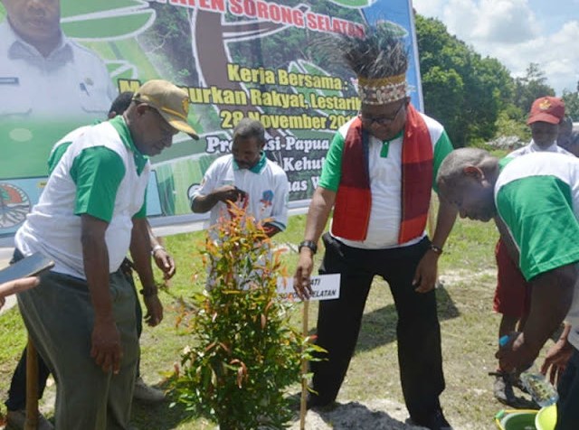 West Papua reforestation