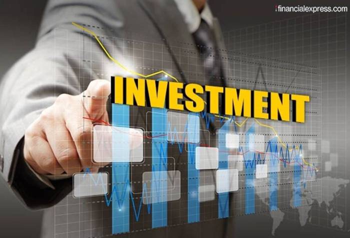 Investment target for Papua