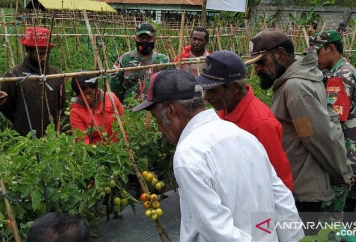 Motivation for Jayawijaya farmers