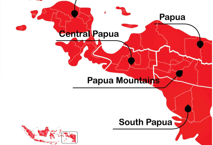 Provinces in Papua Indonesia